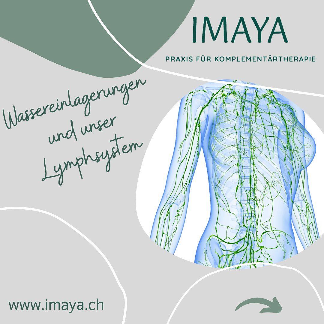 Wassereinlagerungen & Lymphsystem